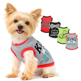 Conjunto de ropa para perros pequeños en rosa, cómodo para paseos de verano y estilo.
