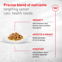 Royal Canin Aging11 Plus textura fácil de masticar para gatos mayores.