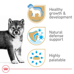 Royal Canin antioxidantes para defensa natural del cachorro en crecimiento.