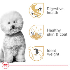 ROYAL CANIN Bichón Frisé Adult, digestión suave gracias a proteínas selectas y prebióticos.