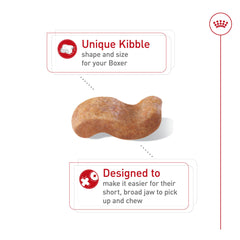Royal Canin Boxer Adult, proteína precisa y L-carnitina para músculos.