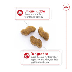 ROYAL CANIN Bulldog Puppy antioxidantes vitamina E apoyan desarrollo inmunológico.