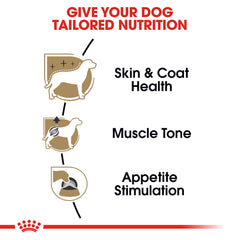 ROYAL CANIN Caniche Adulto: apoyo a piel y pelaje con omega-3