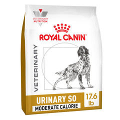 Royal Canin canino croquetas secas, bolsa visible, favorece salud urinaria.