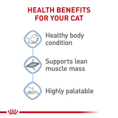 Royal Canin: L-Carnitina para apoyar el metabolismo de las grasas