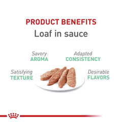 Royal Canin Digestive Care Loaf en Sauce: aroma agradable que facilita la hora de comer.