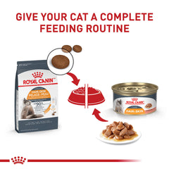 Royal Canin Gato piel sana y pelaje brillante