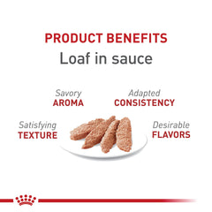 ROYAL CANIN GATO en salsa; nutrición equilibrada para gatos adultos con control de peso.