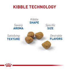 Kibble suave de Royal Canin Indoor 7+ facilita la masticación en gatos mayores.
