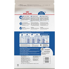 Royal Canin Indoor 7+ con vitamina C, EPA y DHA para gatos activos.