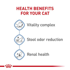 Vitamina C EPA DHA en Royal Canin Indoor 7+ para vitalidad