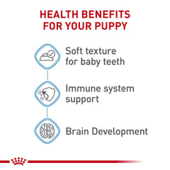 Royal Canin Cachorro Grande - Antioxidantes y vitaminas para apoyar la inmunidad