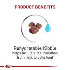 Royal Canin, inmunidad gatitos con antioxidantes para defensas naturales.