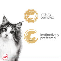 Royal Canin Instinctive 7+ lata abierta, trozos en salsa para gatos senior