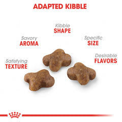 ROYAL CANIN: croquetas pequeñas, fáciles de masticar para gatitos.