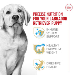 Royal Canin Labrador Puppy: croqueta en forma de dona con calcio y fósforo.
