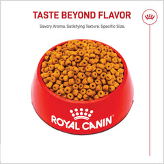 Royal Canin Labrador Puppy: croqueta en forma de dona para crecimiento saludable.