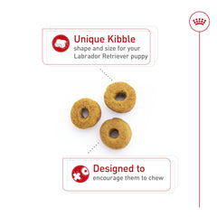Royal Canin Labrador Puppy: croqueta en forma de dona con antioxidantes para inmunidad.