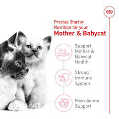 Royal Canin microbioma digestivo, fórmula para equilibrio intestinal en gatitos.