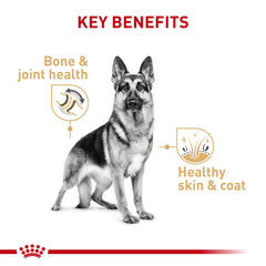ROYAL CANIN Pastor Alemán Adulta textura paté en salsa favorece apetito.
