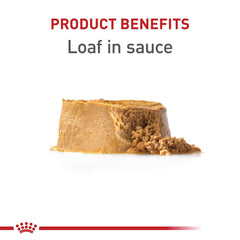 Royal Canin paté en salsa para cachorro, presentación apetitosa para estimular el consumo.