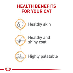 Primer plano de pelaje brillante gracias a Royal Canin.