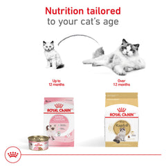 ROYAL CANIN Ragdoll Adult, soporte para articulaciones y salud ósea.