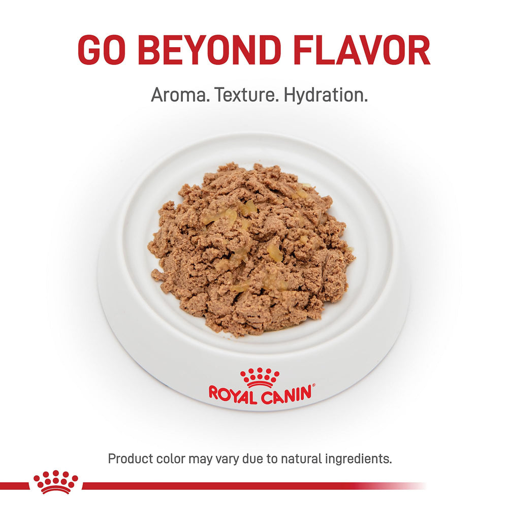 Royal Canin Renal Support E: textura loaf en salsa que facilita la ingesta diaria.