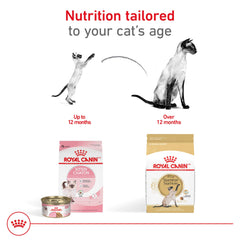 ROYAL CANIN Siamese croquetas en forma de anilla diseño oral.