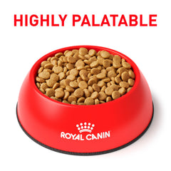 Croquetas de Royal Canin Urinary SO para perro pequeño, favorecen la masticación y la higiene dental.