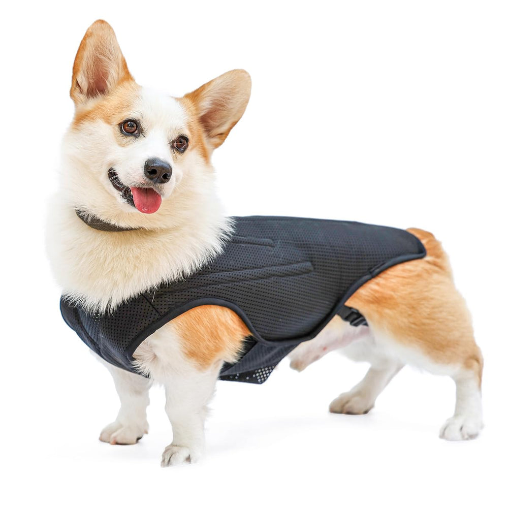 RUIFAR faja-dorso-perro con barras metálicas proporciona soporte estable para la espalda.