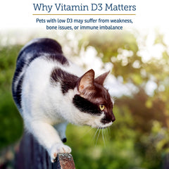 Rx Vitamins Rx D3 apoyo-inmunidad: fortalecimiento de defensas de mascotas.