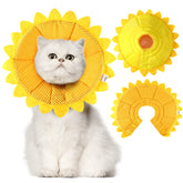 Sadnyy collar recuperación girasol para gatos, protección durante baños y arreglos