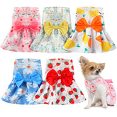 Vestido floral Saintrygo para perro con diseño de cereza, ideal para salidas veraniegas.