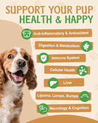 Santkol melena de león para perros, apoyo cognitivo potencial.