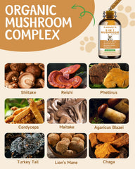Santkol reishi para perros, mejora de la piel y brillo.