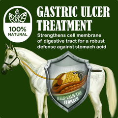 Granulos Starting Gate para caballos mejorando la absorción de nutrientes.