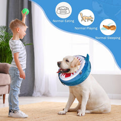 SCENEREAL donut collar inflable con tiburón, ideal para recuperación.