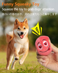 SCHITEC Balle doudou interactive incite à poursuivre et récupérer.
