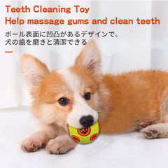 Schitec Pelotas para cachorros: tamaño de 2 pulgadas ideal para razas pequeñas.