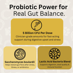 ScoopRX GI Rescue probióticos Saccharomyces boulardii para flora intestinal