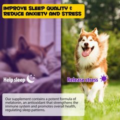 SDJUFEI Melatonina para perros - gotas: reduce ansiedad en visitas al veterinario.