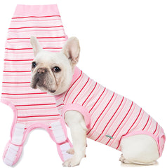 Sebidtco traje de recuperación para perros, vista frontal, protege suturas y ofrece comodidad posquirúrgica