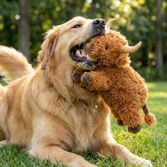 seenelling juguete perro para juego de búsqueda y diversión diaria