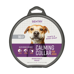 Collar calmante Sentry para perros listo para uso diario en casa