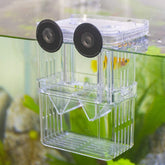 Senzeal caja criadora para peces, vista frontal, evita ataques y protege alevines