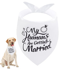 Bandana Seyezo para perro con anuncio de compromiso, ideal para bodas.