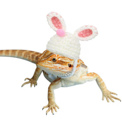 SEZDEKI gorro orejas conejo para mascota, ideal para lucir en fiestas