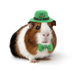 SEZDEKI sombrero verde San Patricio para mascotas, ideal para fotos festivas.