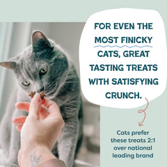 Shameless Pets – forme étoile, dégustation ludique.
